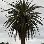 Aurora Valle Gran Rey