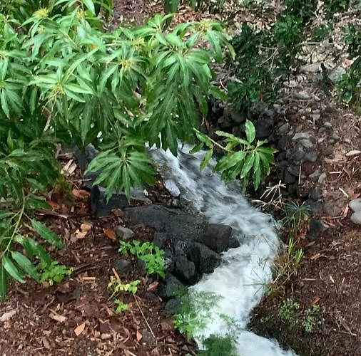 Aurora * Valle Gran Rey